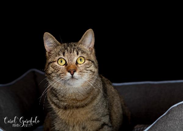 Ursula miciona buona  Foto 2